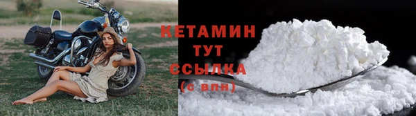 прущие грибы Осинники