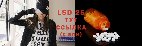 прущие грибы Осинники