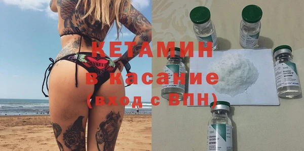 прущие грибы Осинники