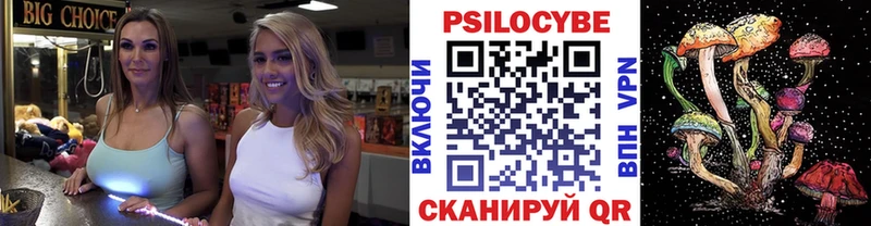 Купить  Закаменск  Псилоцибиновые грибы прущие грибы 